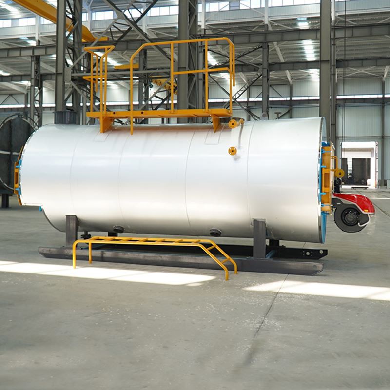 Hoge capaciteit elektrische stoomketel